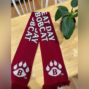 Bates College Scarf - It’s a great day to be a bobcat 🧣